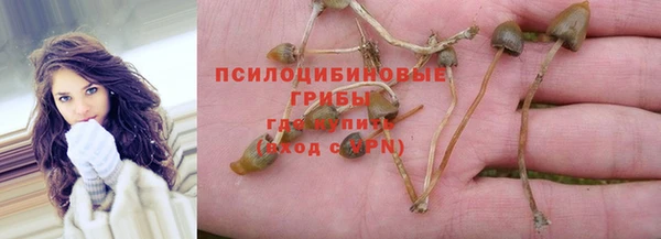 герыч Мегион
