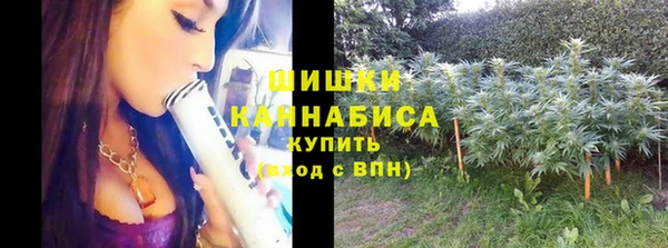 гидра Медногорск